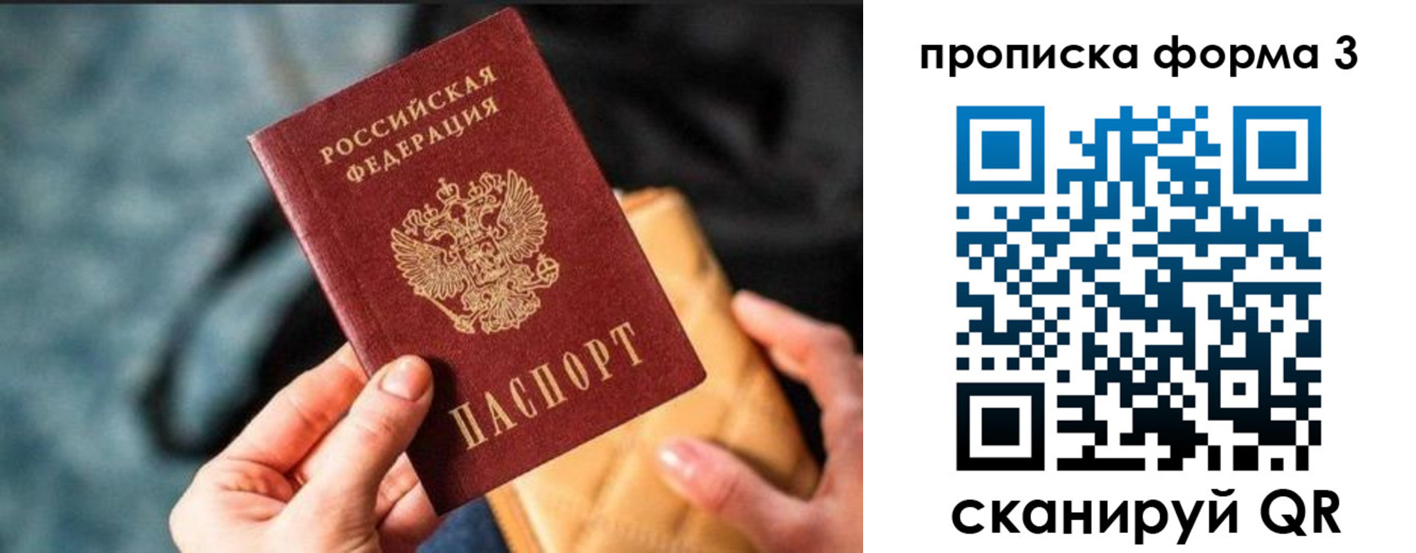 прописка гарантия в Ясном